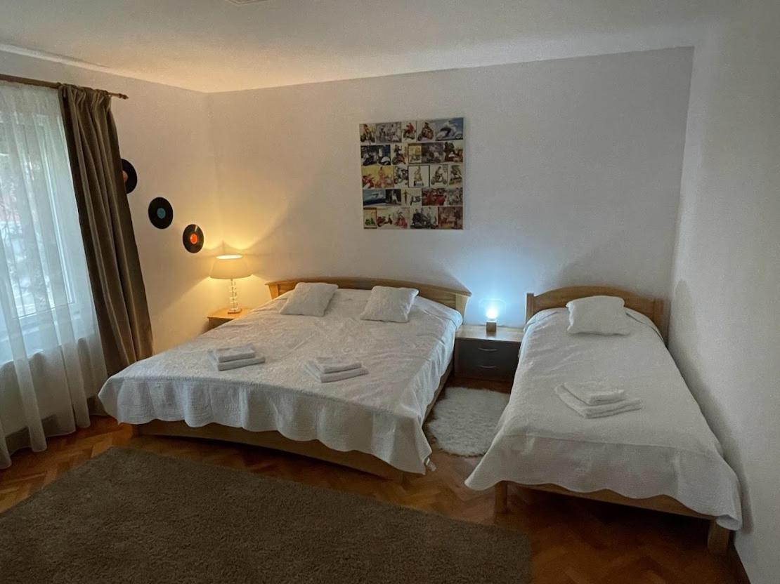 Crisan 40 Casa Muntean 100Mp 3Camere 3Paturi 1 Canapea 2 Dormitoare Parcare تيميشورا المظهر الخارجي الصورة
