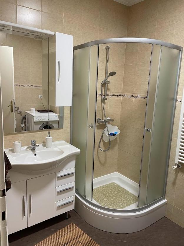 Crisan 40 Casa Muntean 100Mp 3Camere 3Paturi 1 Canapea 2 Dormitoare Parcare تيميشورا المظهر الخارجي الصورة